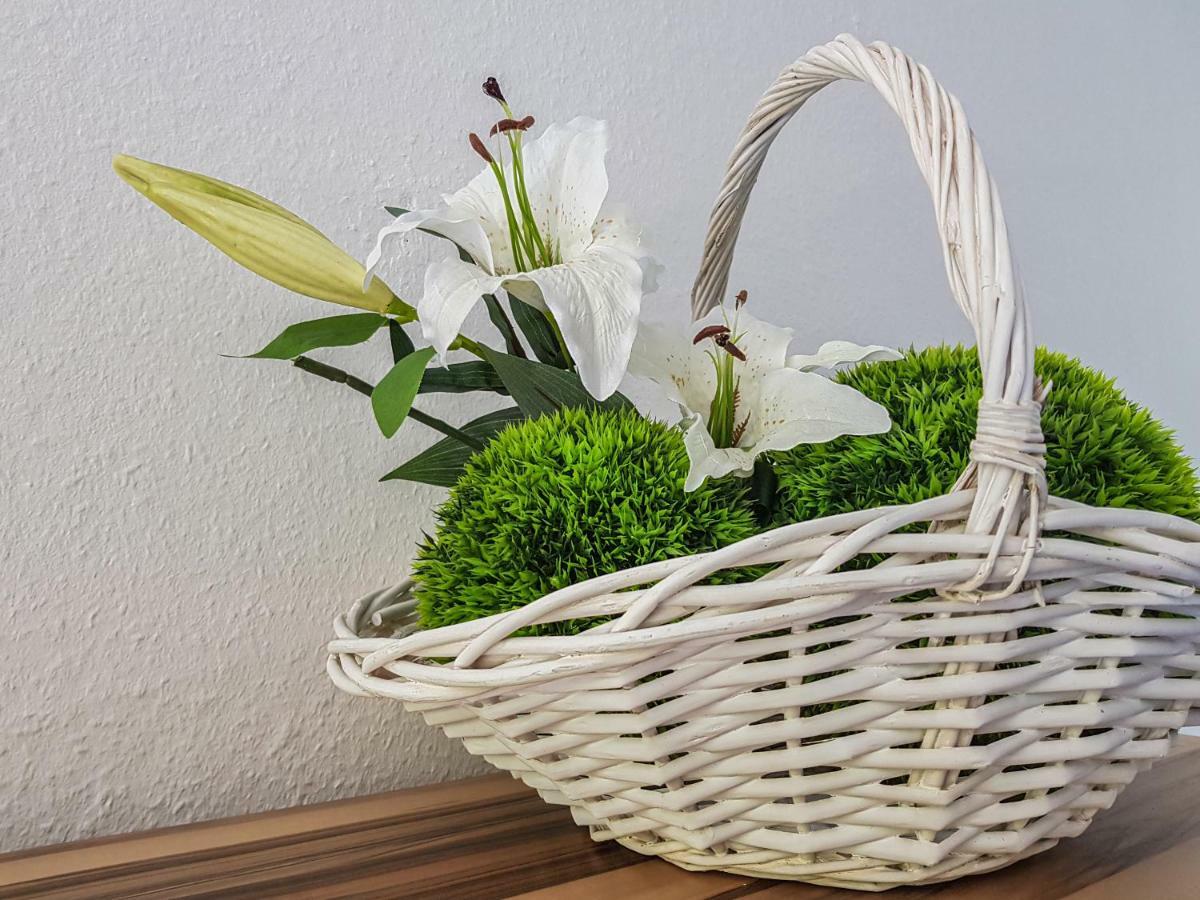 Ferienwohnung Naturnah Goslar Eksteriør billede