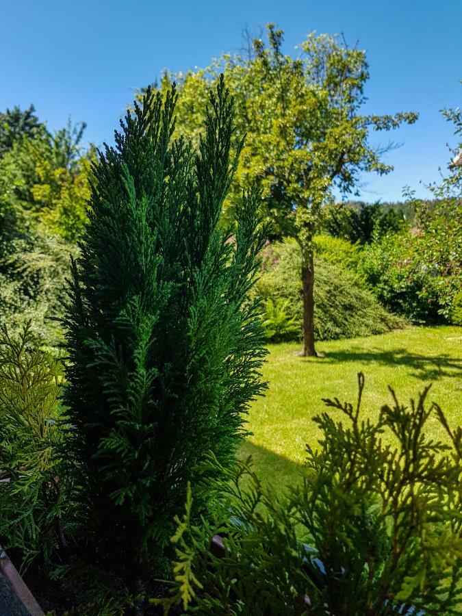 Ferienwohnung Naturnah Goslar Eksteriør billede